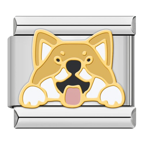 Dogs