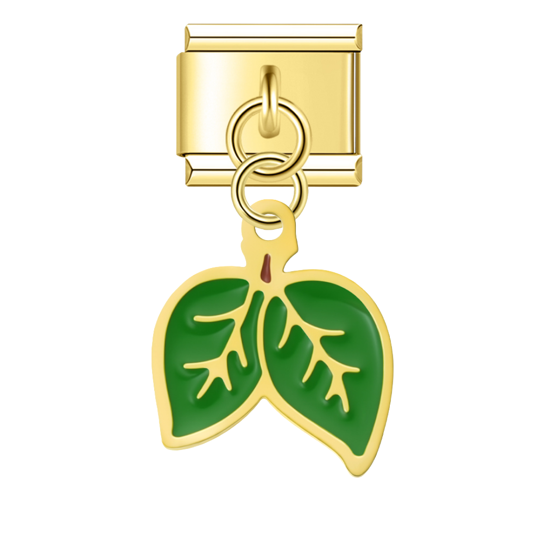 Leaves