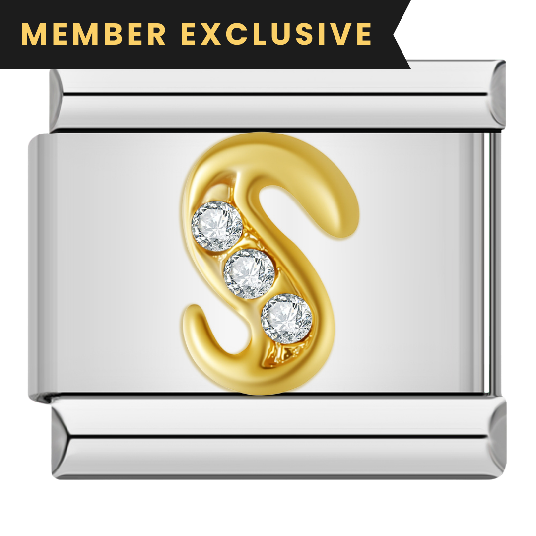 Letter S