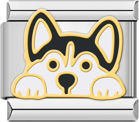 Dogs