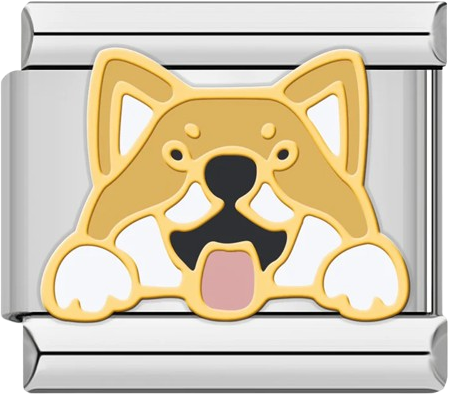 Dogs