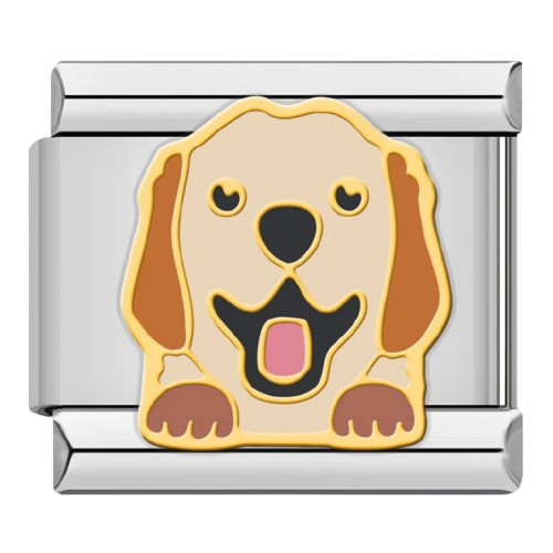 Dogs