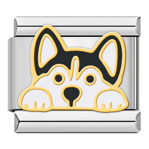 Dogs