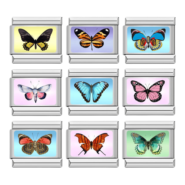 Butterfly Bundle (9 Pack)