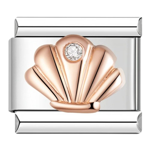 Gem Seashell