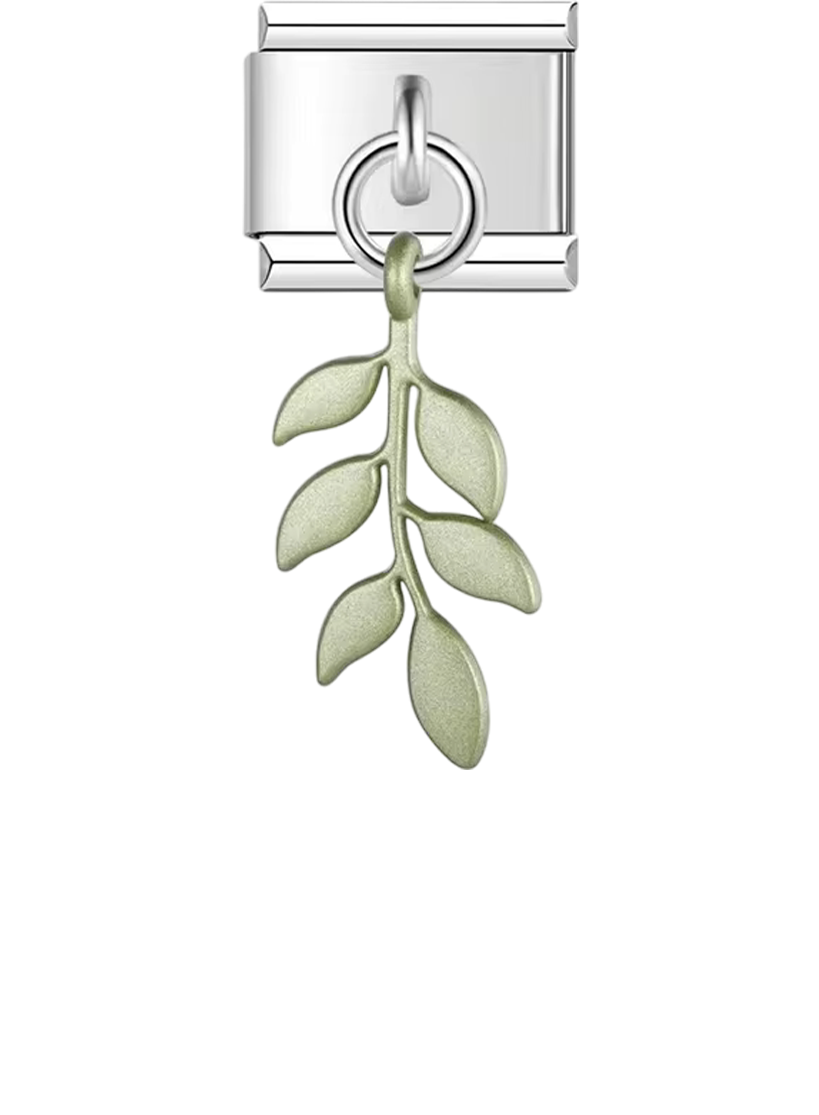 Fern