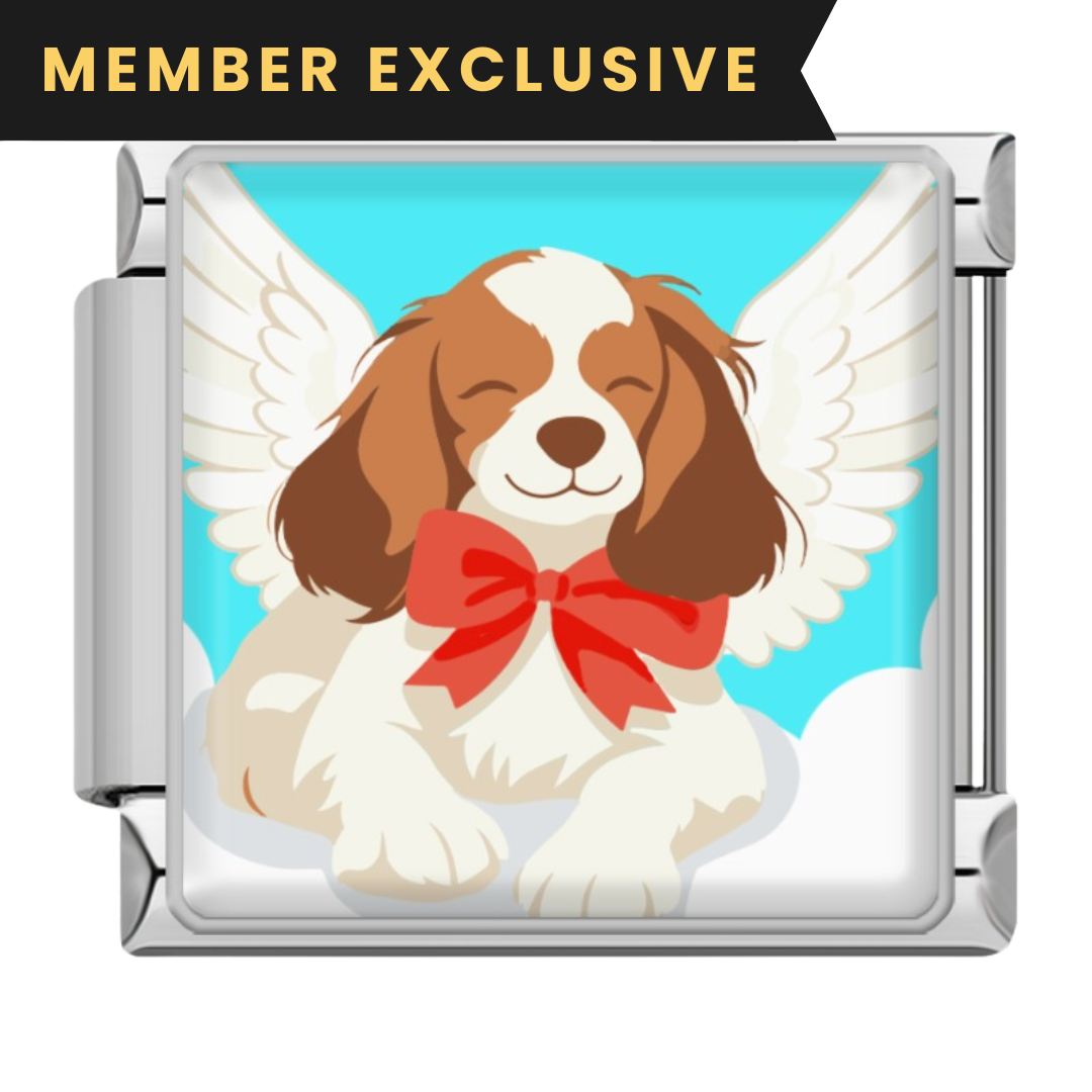 Cavalier