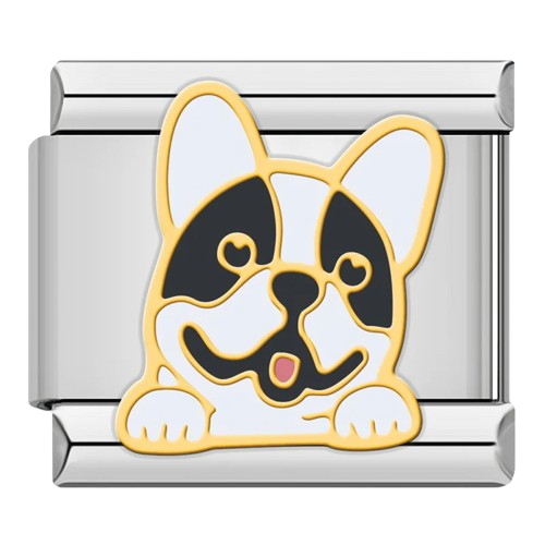 Dogs