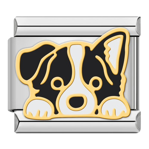 Dogs
