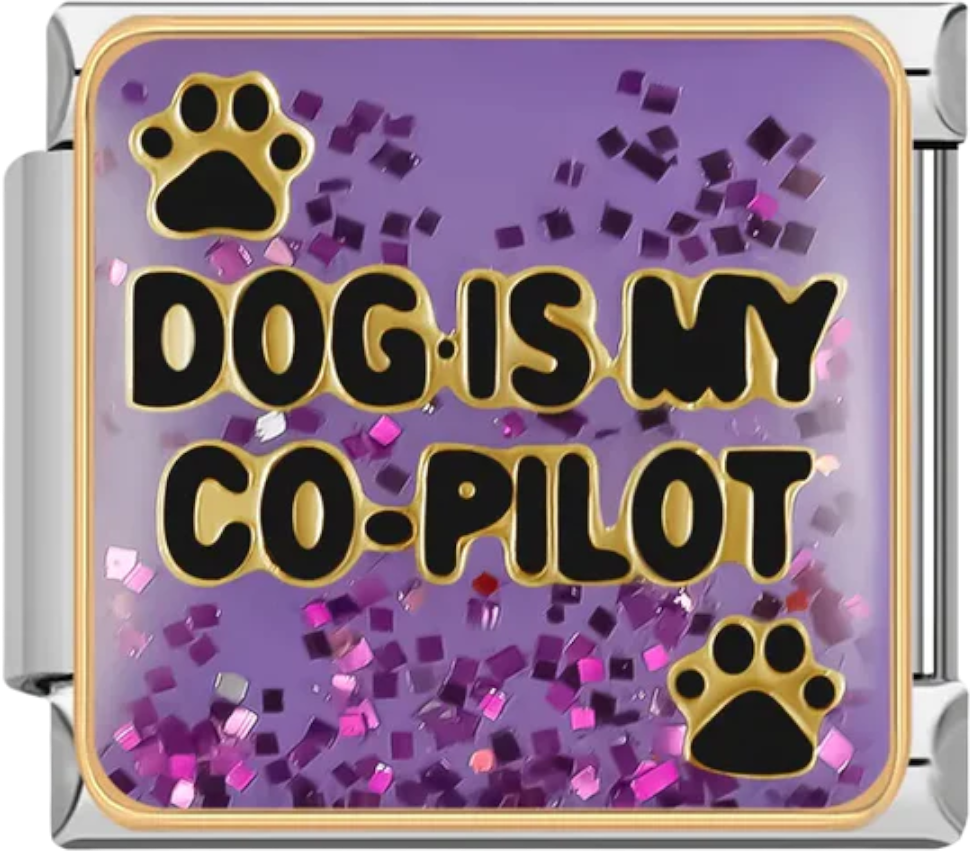 Dog is my co-pilot