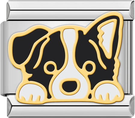 Dogs