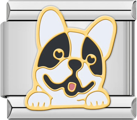Dogs