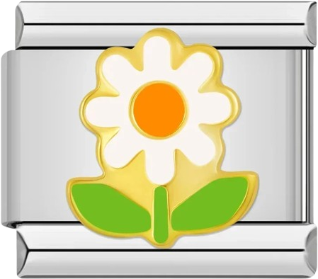 Daisy
